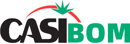 casibormgiris.co Logo